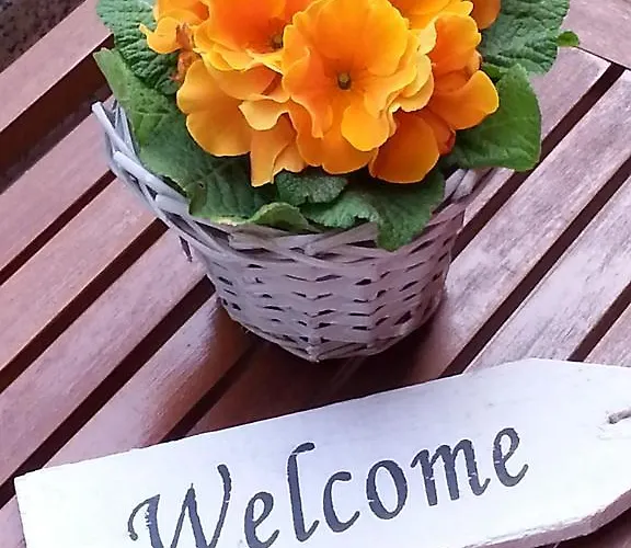 לינה וארוחת בוקר Douglas House וארסה